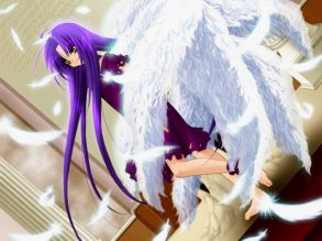 �������� �����